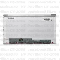 Матрица для ноутбука HP Pavilion G6-2066 (1366x768 HD) TN, 40pin, Глянцевая