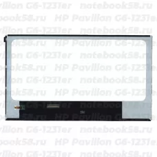 Матрица для ноутбука HP Pavilion G6-1231er (1366x768 HD) TN, 40pin, Глянцевая